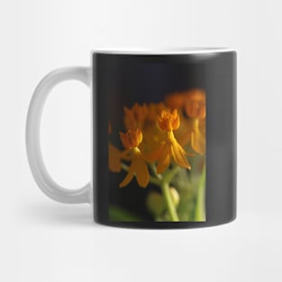 golden hour flowers Mug